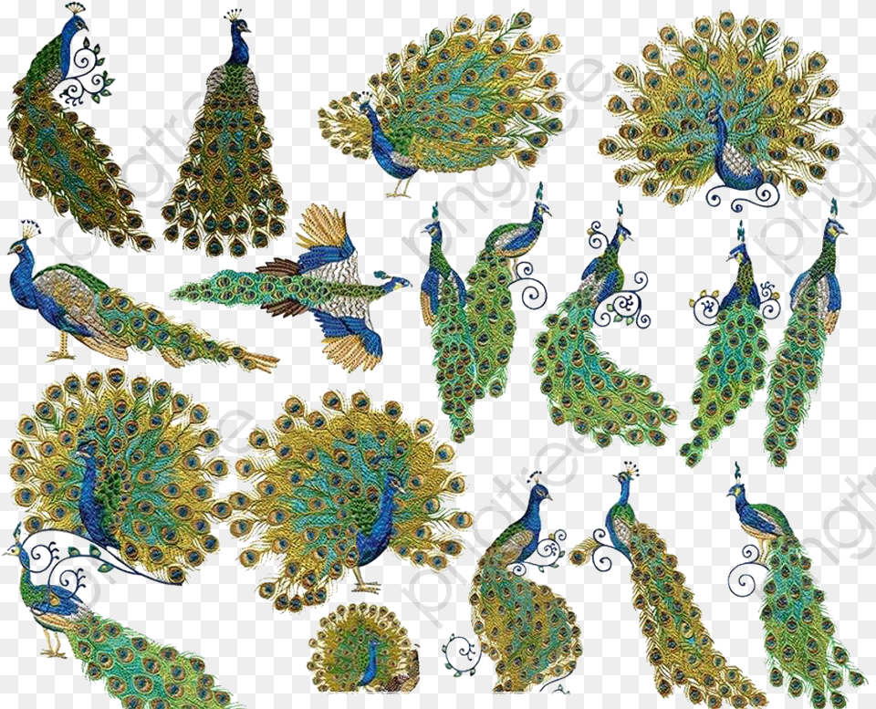 Peacock Design Peacock Clipart Peacock Tail Animal, Accessories, Earring, Jewelry, Pattern Free Transparent Png