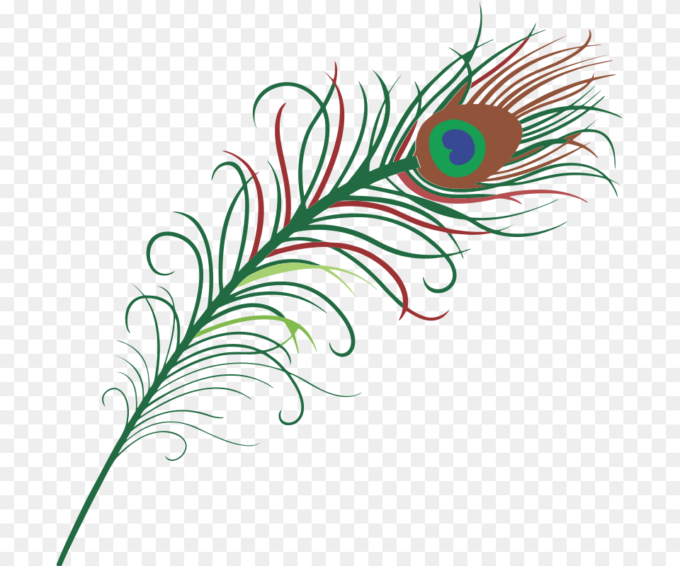 Peacock Design Vector, Art, Floral Design, Graphics, Green Png Image