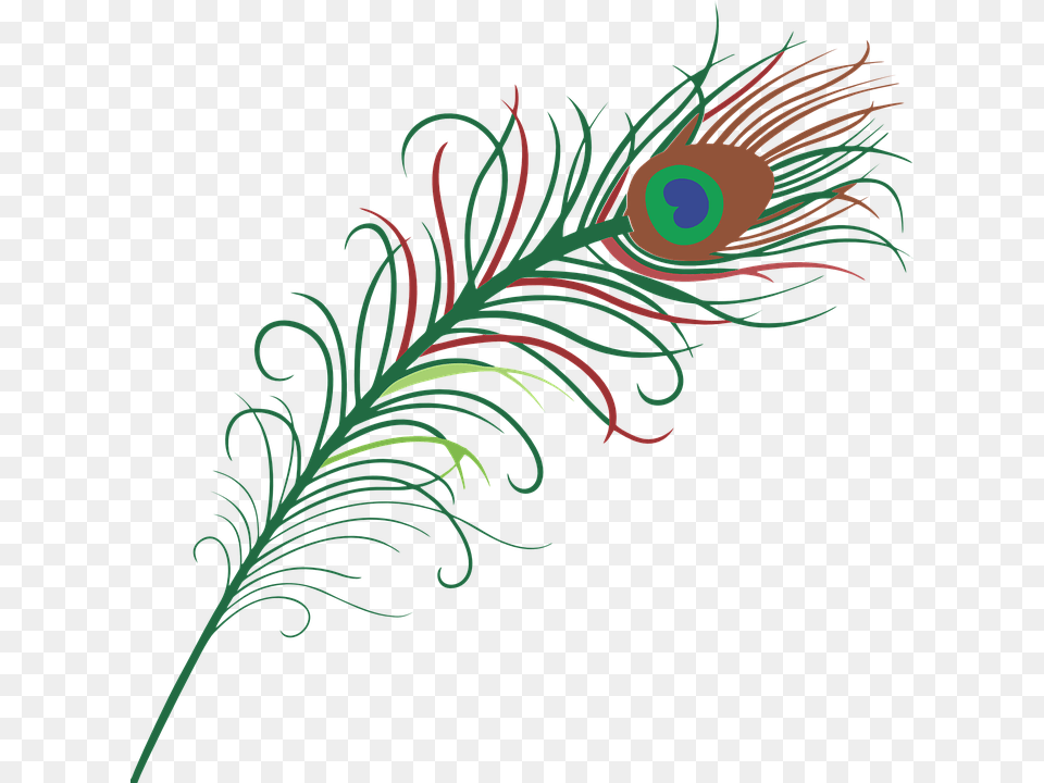 Peacock Eye Feather Blue Peacock Feather, Art, Floral Design, Graphics, Pattern Free Transparent Png