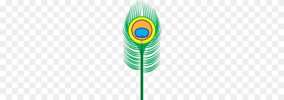 Peacock Feather Light Png Image