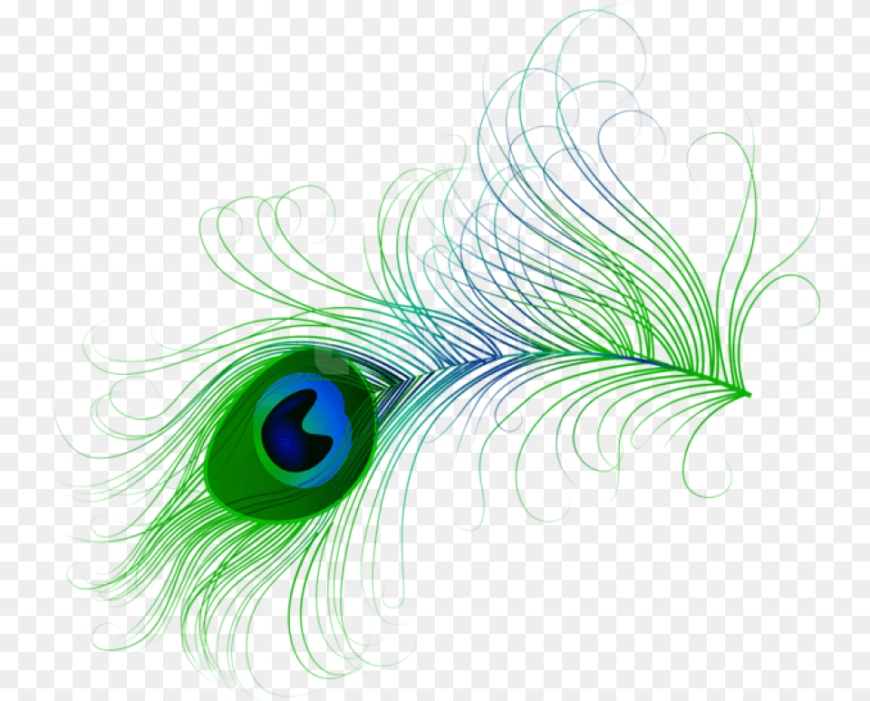 Peacock Feather, Art, Floral Design, Graphics, Pattern Free Png