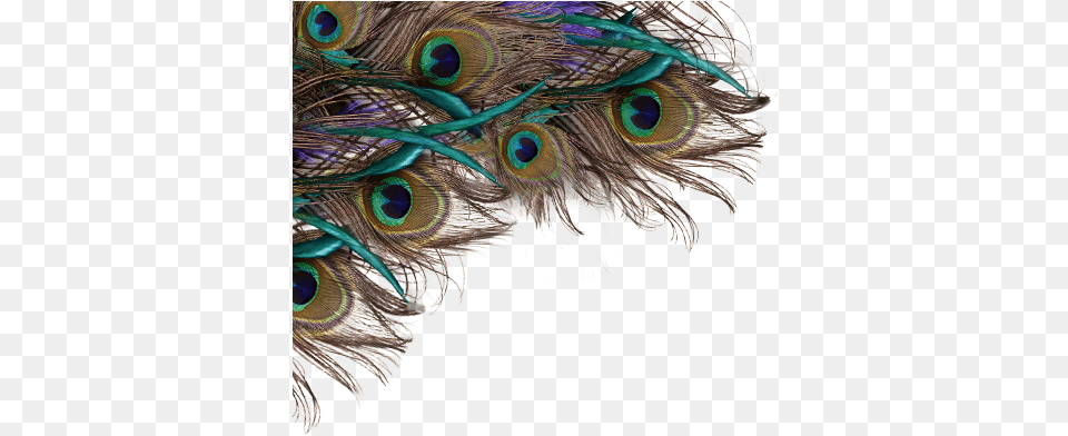 Peacock Feather Background Peacock Feather Hd, Accessories, Pattern, Animal, Bird Free Png Download