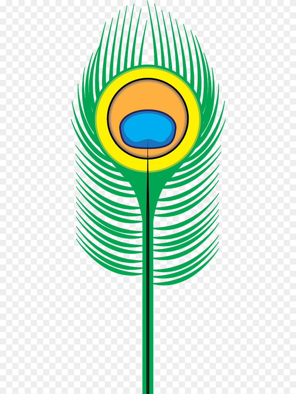 Peacock Feather Bird Cartoon Peacock Feather Drawing, Light, Lighting Free Png