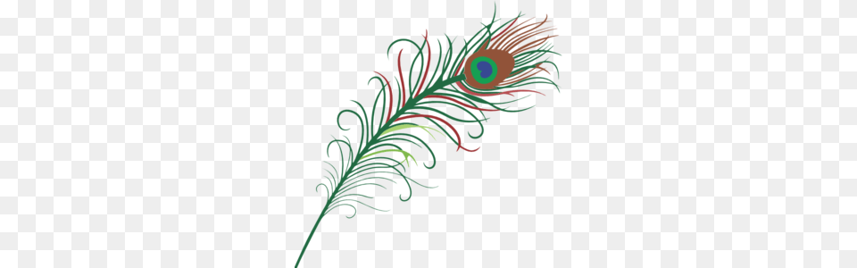 Peacock Feather Clip Art, Floral Design, Graphics, Pattern, Embroidery Free Png