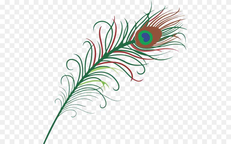 Peacock Feather Clip Art, Floral Design, Graphics, Pattern, Plant Png Image