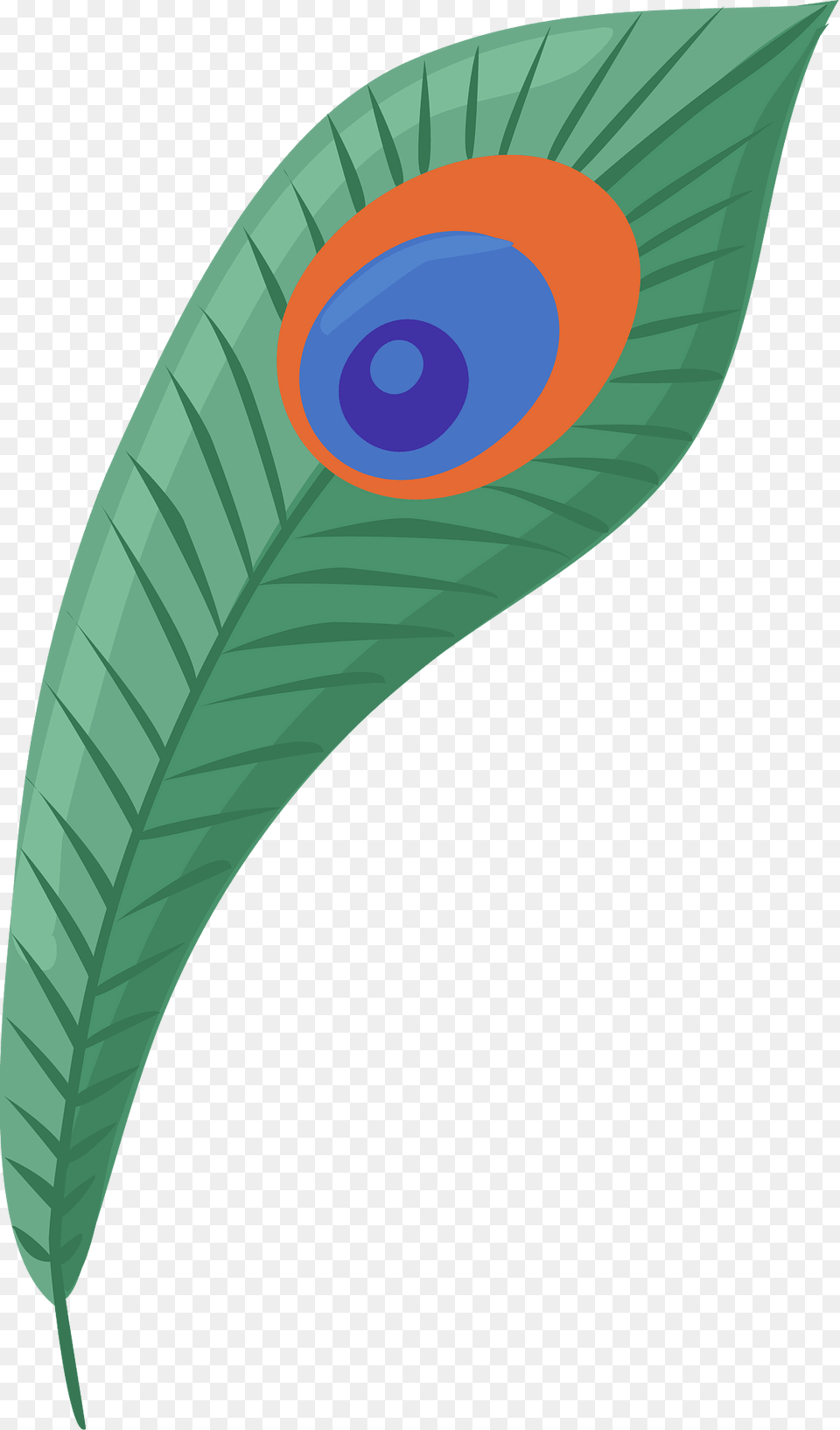 Peacock Feather Clipart, Art, Outdoors Png
