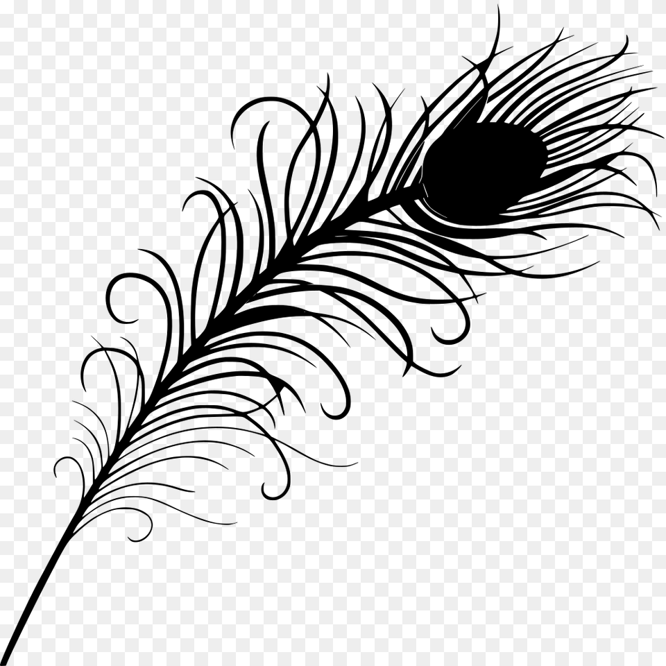 Peacock Feather Clipart, Gray Free Transparent Png