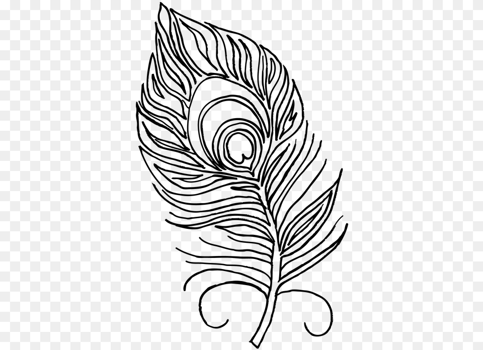 Peacock Feather Coloring Book Feather Peacock Pen Peacock Feathers Coloring Pages, Gray Png Image