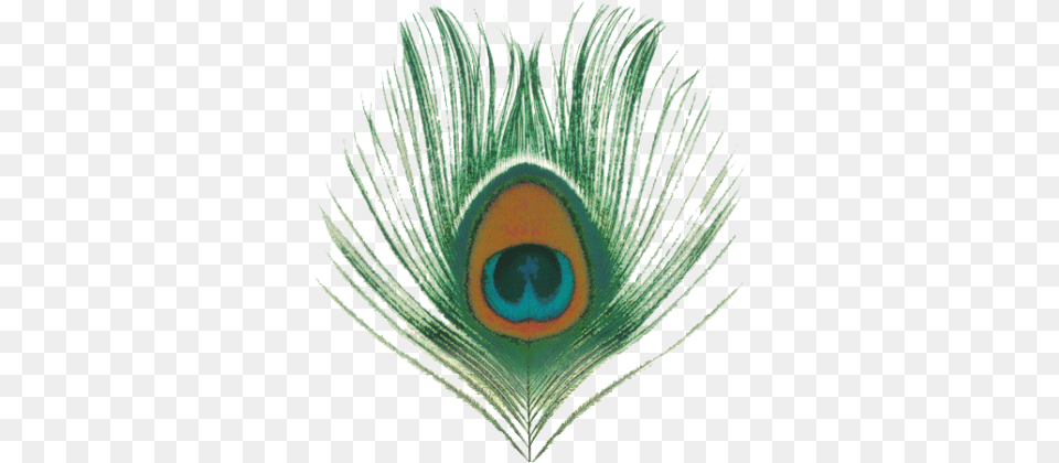 Peacock Feather Eye Transparent Images 3117 Xtc Apple Venus Volume 1 Discogs, Animal, Plant, Bird Free Png