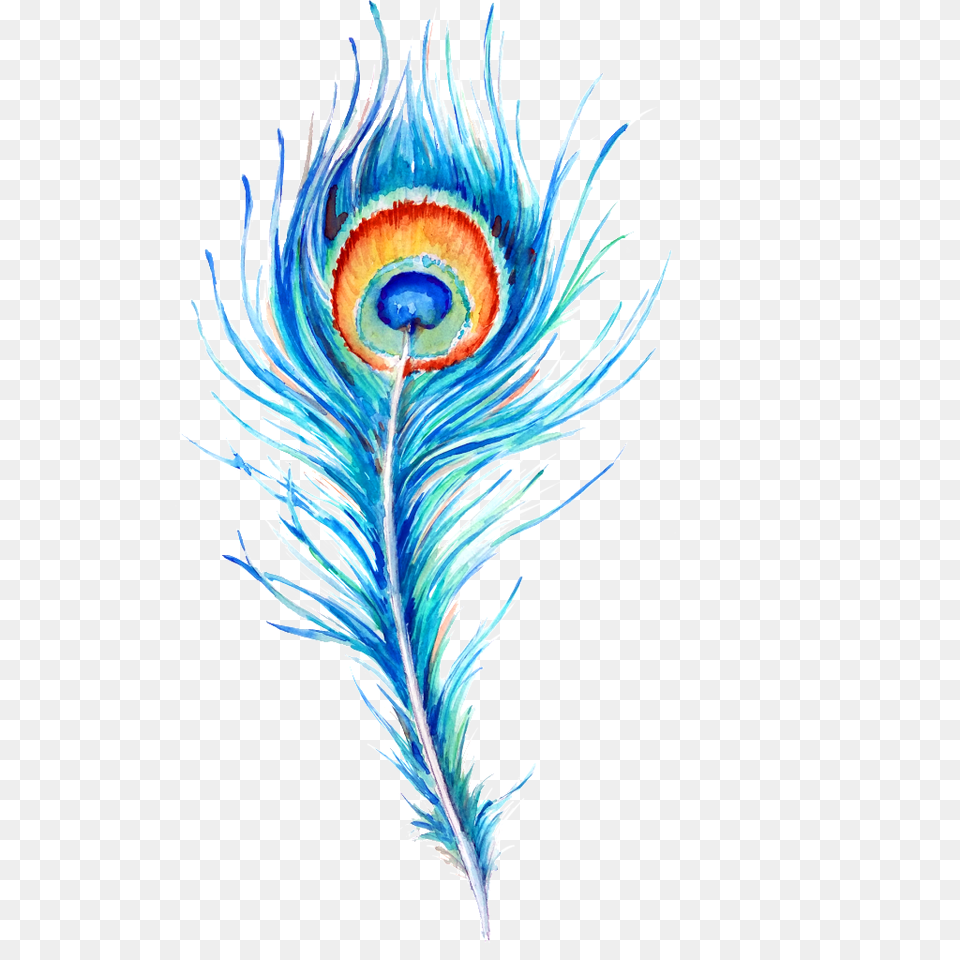 Peacock Feather Hand Drawn Illustration, Art, Floral Design, Graphics, Pattern Free Transparent Png