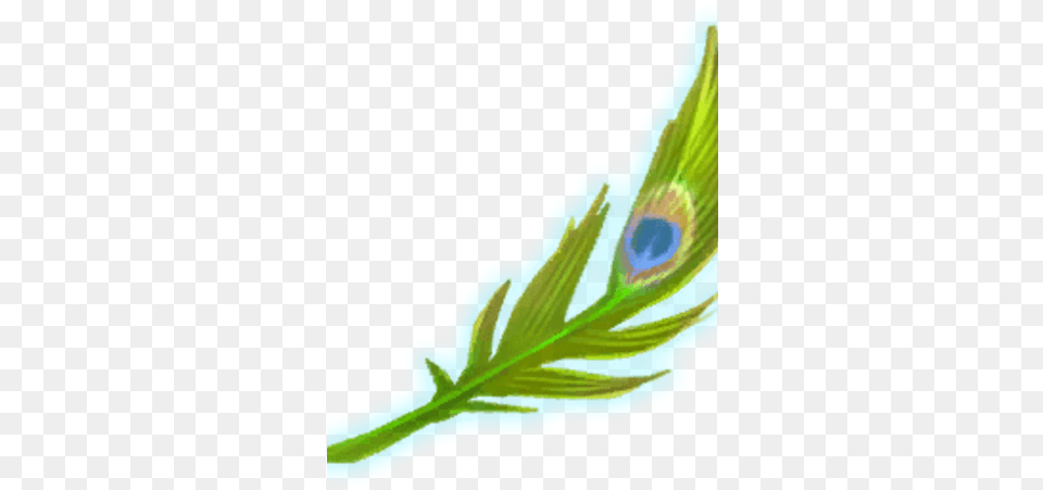 Peacock Feather Harry Potter Wizards Unite Wiki Fandom Flower, Leaf, Plant, Pattern Png Image