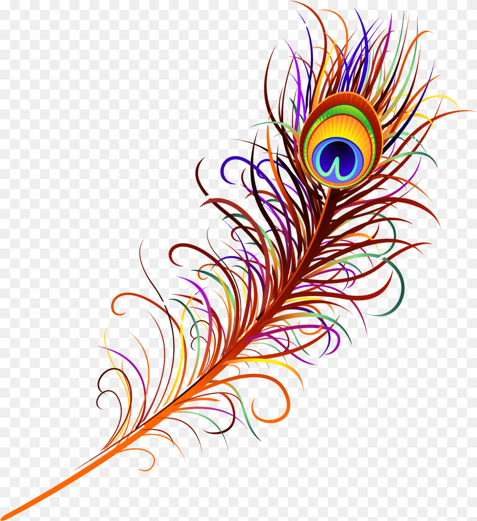 Peacock Feather Image Peacock Feather Vector, Accessories, Fractal, Ornament, Pattern Free Png