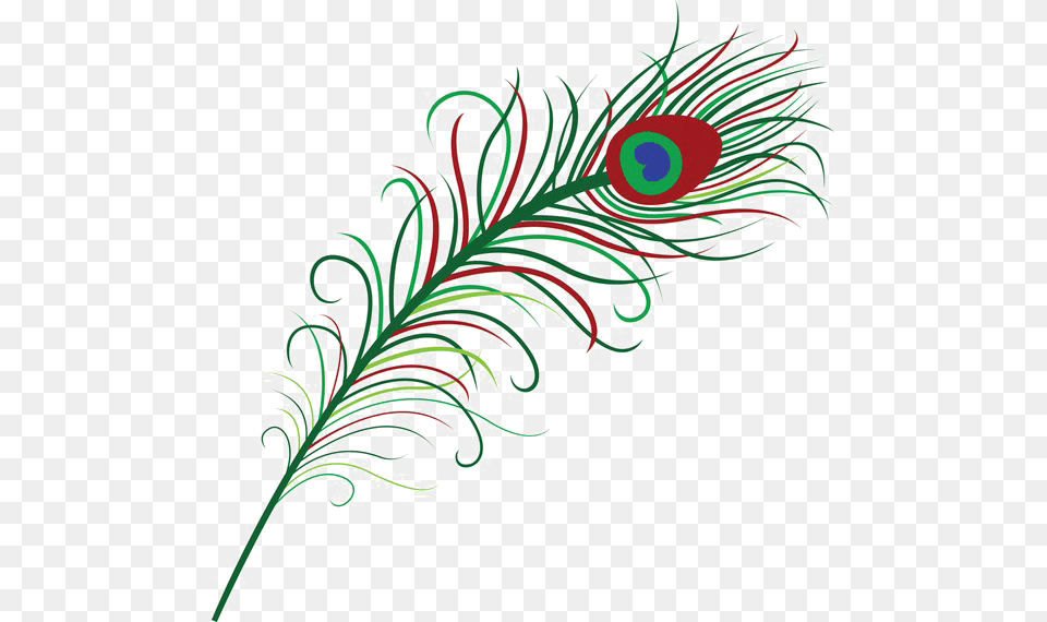 Peacock Feather Photo Peacock Feather Clipart, Art, Floral Design, Graphics, Pattern Png Image