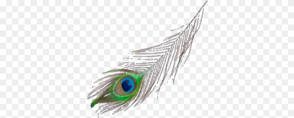 Peacock Feather Roblox Peafowl, Animal, Bird Png