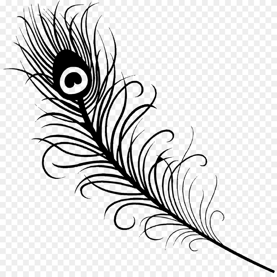 Peacock Feather Silhouette, Gray Free Transparent Png