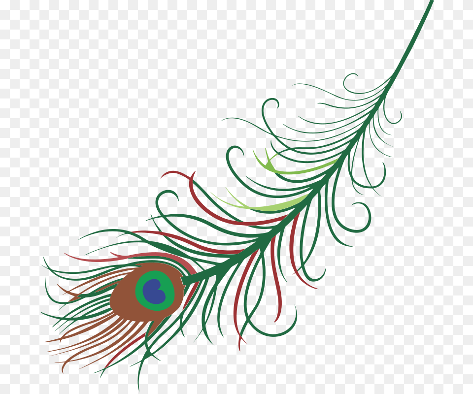 Peacock Feather Tattoo Clipart Download Illustration, Accessories, Art, Floral Design, Graphics Png Image