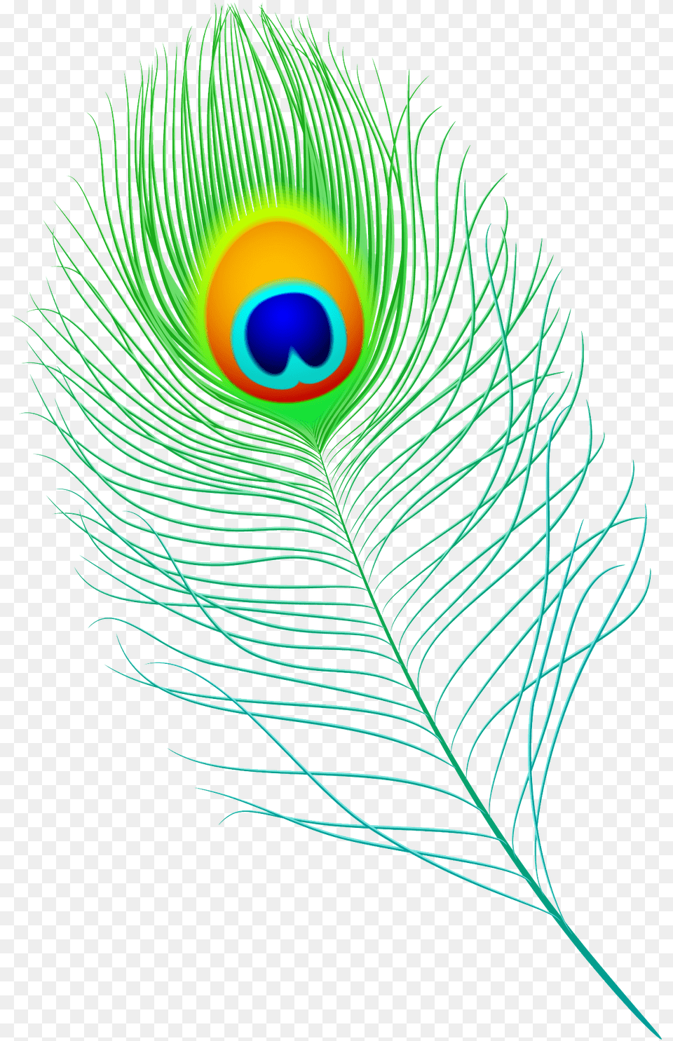 Peacock Feather Vector Peacock Feather Pen Vector, Plant, Pattern, Animal, Accessories Png Image
