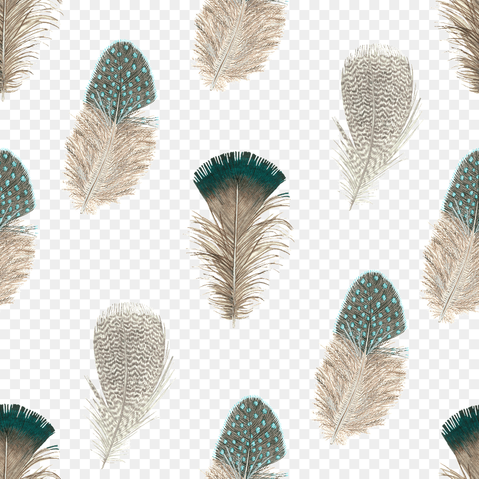 Peacock Feather Watercolor Decorative Illustration Feather, Plant, Reed, Nature, Outdoors Free Transparent Png