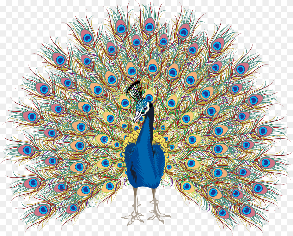 Peacock Hand Drawing, Animal, Bird Free Png