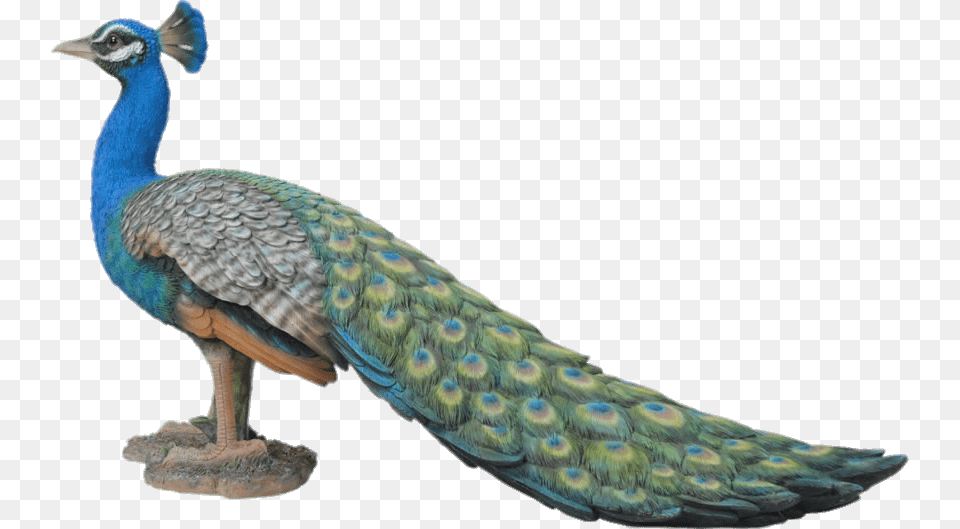 Peacock Garden Ornament, Animal, Bird Png