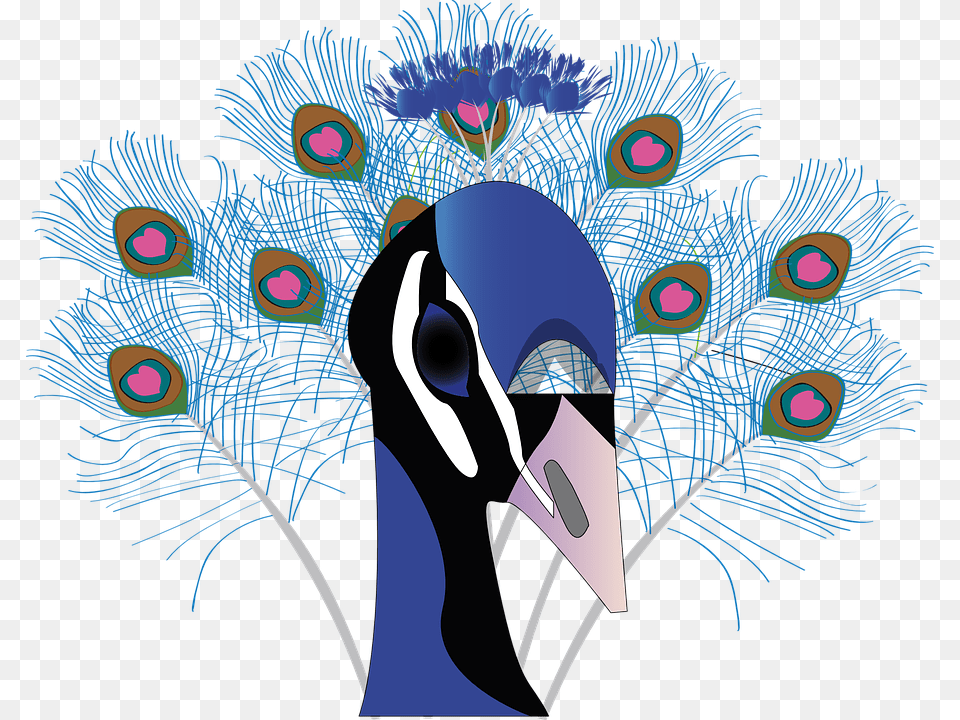 Peacock Head Clipart, Animal, Bird Free Png