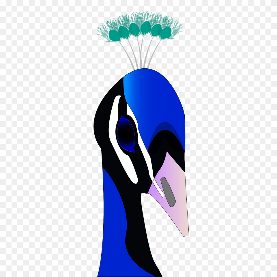 Peacock Head Clipart, Animal, Beak, Bird, Person Png Image