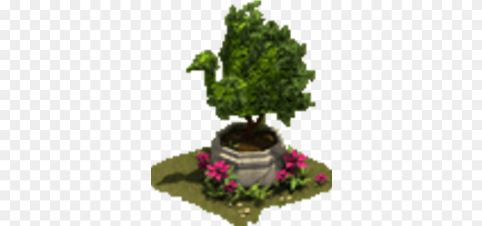 Peacock Hedge Tree, Plant, Vase, Pottery, Potted Plant Png