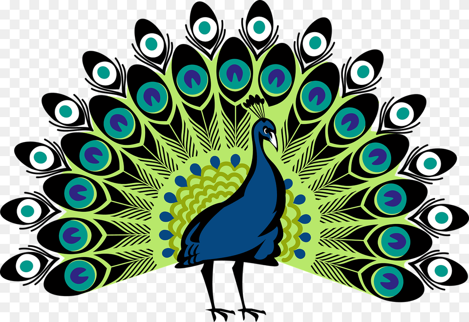 Peacock Images Beaut Peacock Clipart, Animal, Bird Png