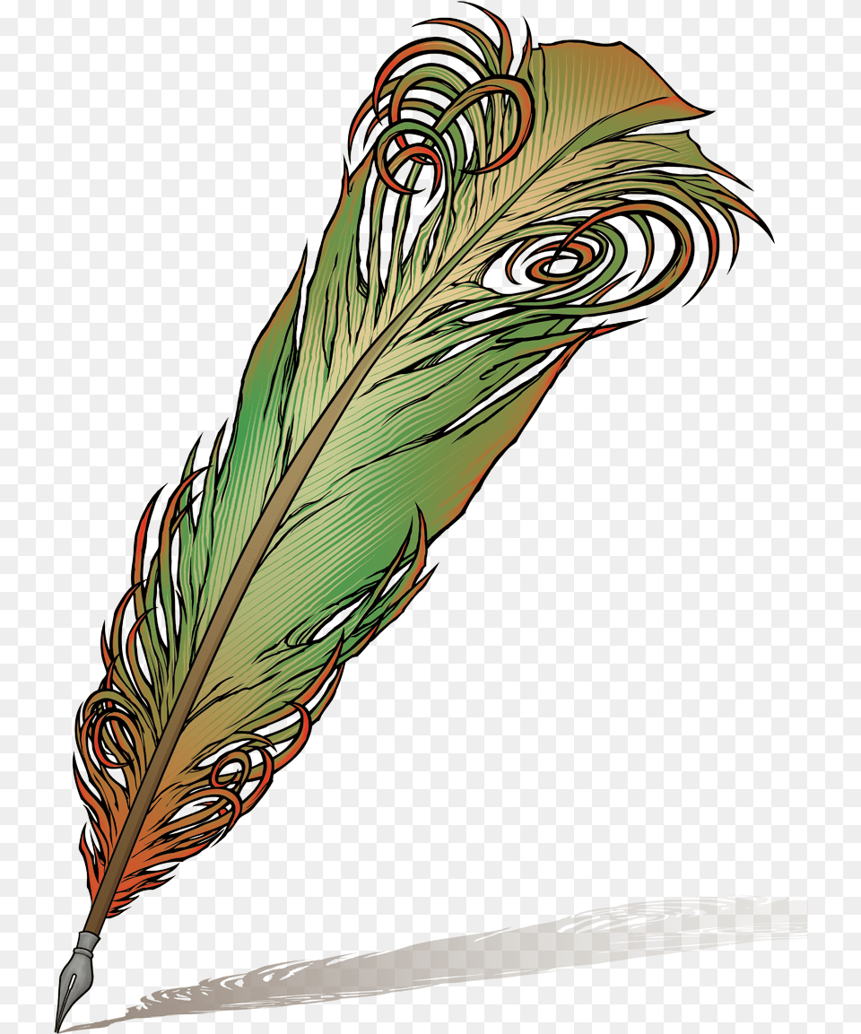 Peacock Leaf Feather Pen Quill Clipart, Art, Graphics, Floral Design, Pattern Png