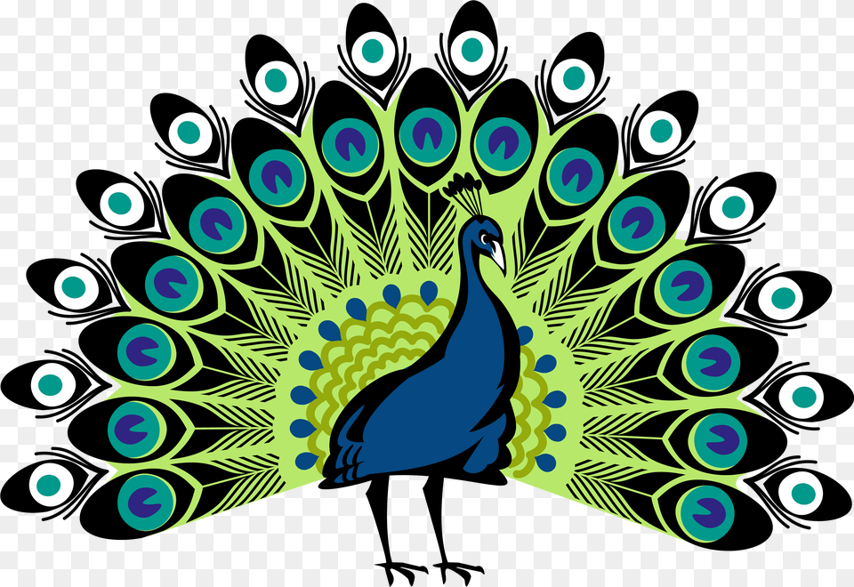 Peacock Peacock, Animal, Bird Png