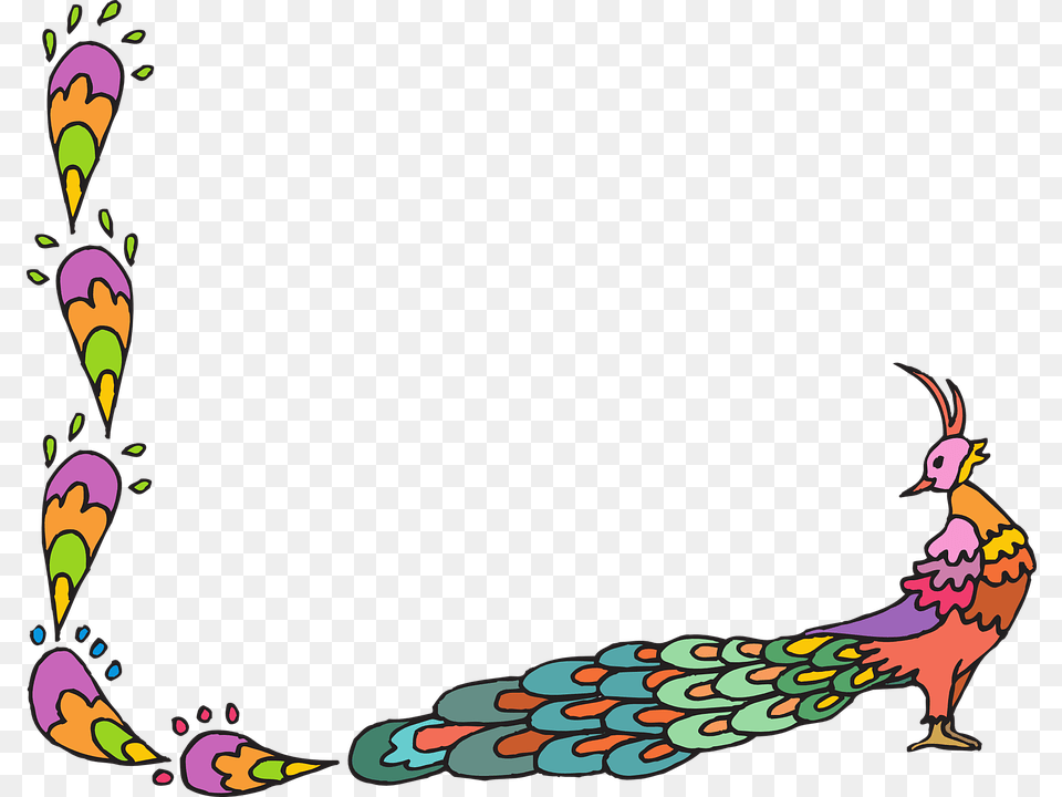 Peacock Peafowl Fantail Fan Tail Showy Tail Decorate A Chart Paper, Animal, Bird Free Transparent Png