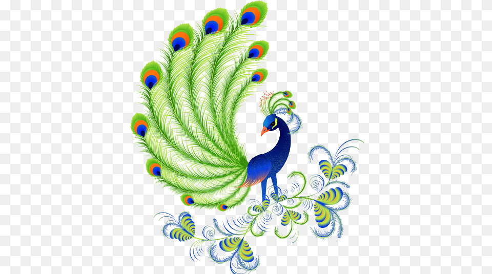 Peacock Picture In Cartoon Beautiful, Pattern, Animal, Plant, Bird Free Png Download
