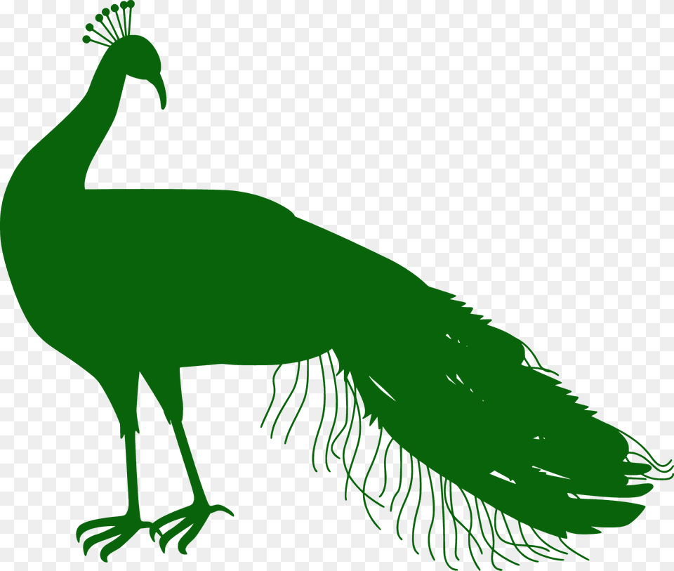 Peacock Silhouette, Animal, Bird, Fish, Sea Life Png Image