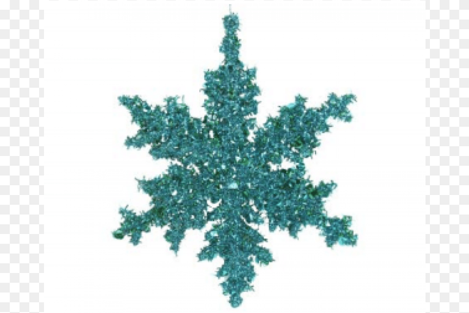 Peacock Sparkle Snowflake Dec Pine Family, Outdoors, Leaf, Nature, Plant Free Png