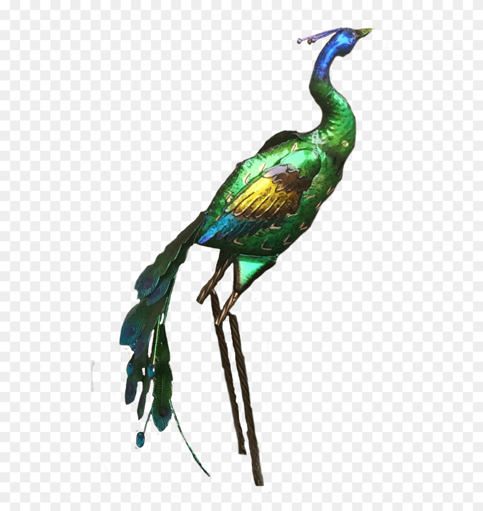 Peacock Stock, Animal, Dinosaur, Reptile, Bird Free Png Download
