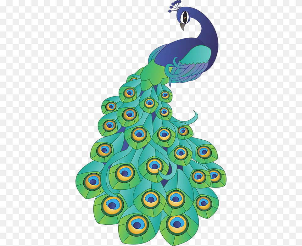 Peacock Stock Vector Hd, Animal, Bird, Fish, Sea Life Png Image