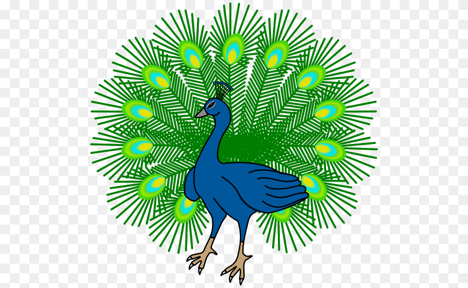 Peacock Transparent Pictures, Animal, Bird Free Png Download