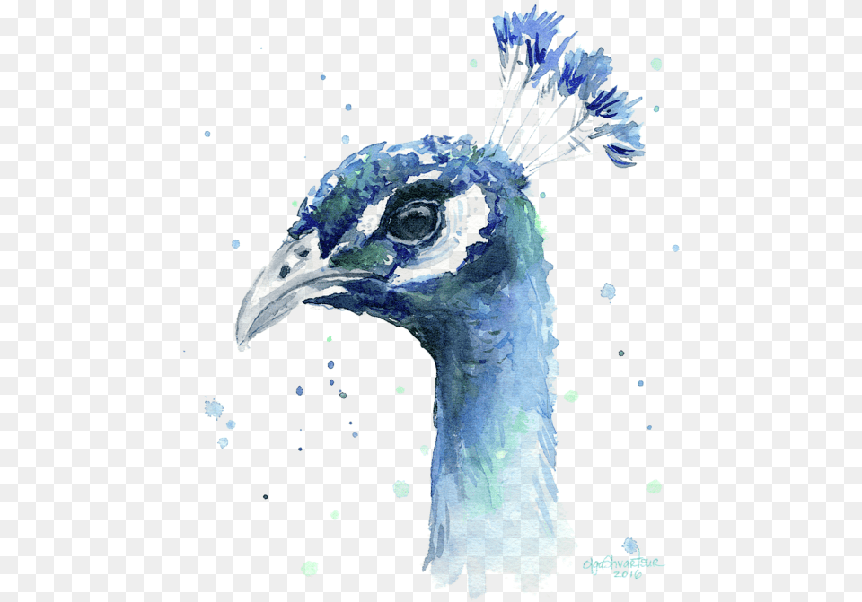 Peacock Watercolor Painting, Animal, Beak, Bird Free Png