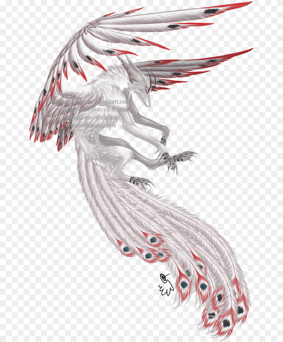 Peacock Wings, Dragon, Animal, Bird Free Png