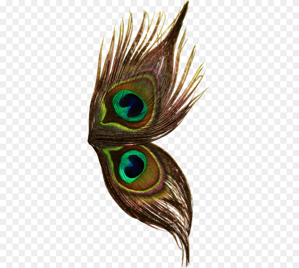 Peacock Wings Dark Peacock Wings, Animal, Beak, Bird, Insect Free Transparent Png