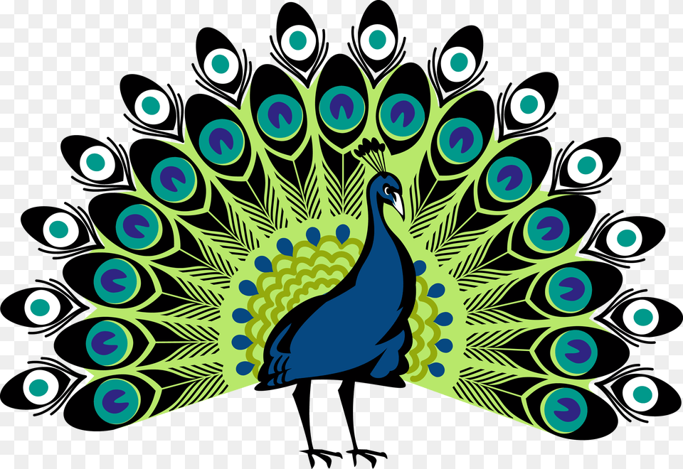 Peacocks Simple Colorful Peacock Drawing, Animal, Bird Png