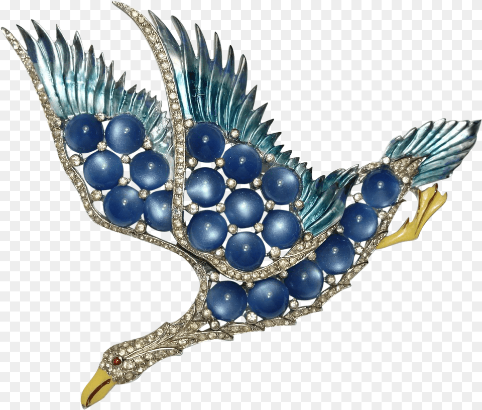 Peafowl, Accessories, Brooch, Jewelry, Gemstone Free Transparent Png
