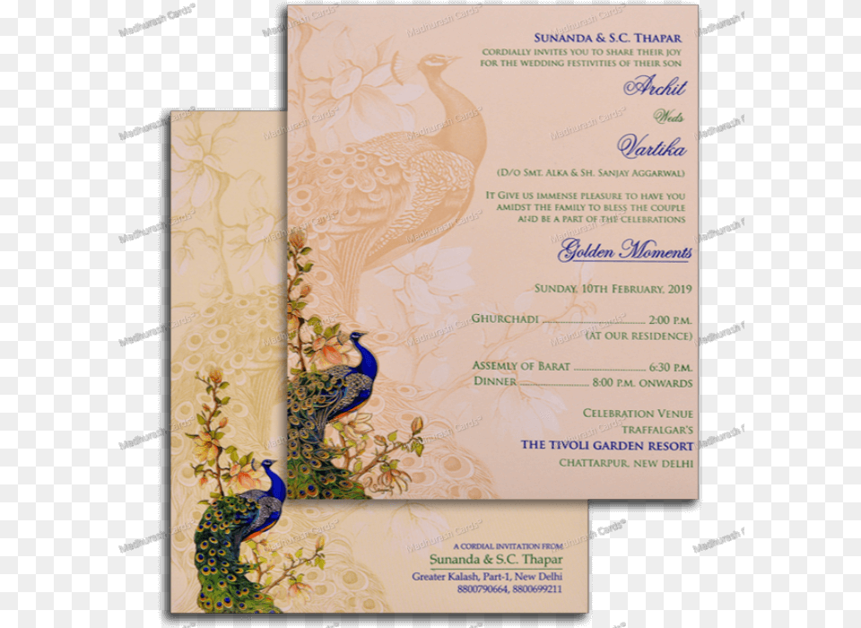 Peafowl, Advertisement, Poster, Text, Menu Free Png Download