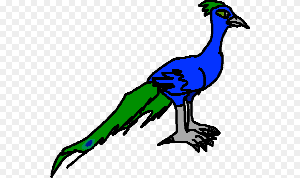 Peafowl, Animal, Bird, Peacock, Person Free Png