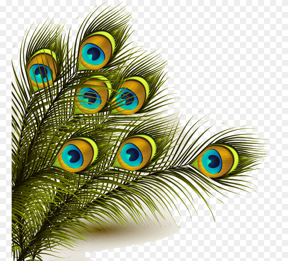 Peafowl Clipart Peacock Colour Peacock Feather, Animal, Bird Png Image