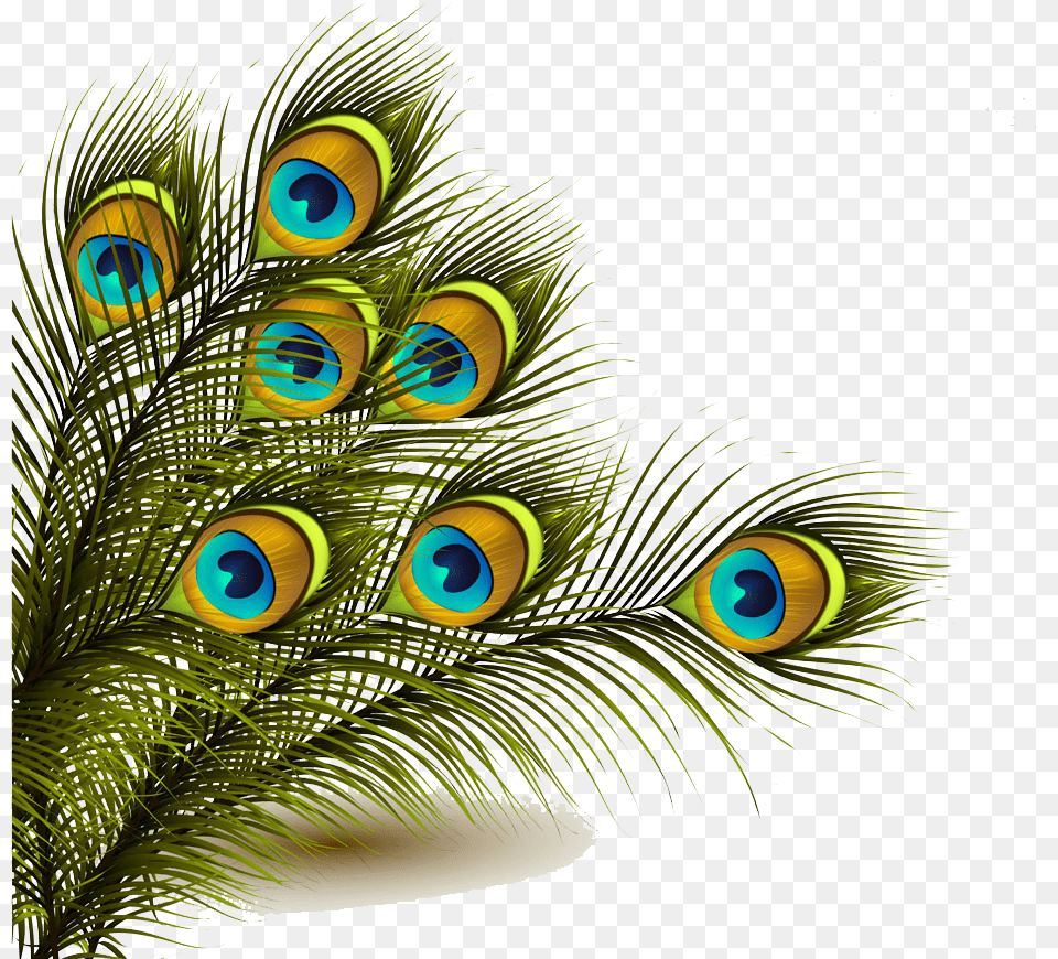 Peafowl Feather Clip Art Peacock Feather, Animal, Bird, Dinosaur, Reptile Free Png Download
