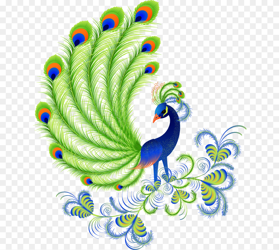 Peafowl Content Beautiful Designs Of Peacock, Pattern, Animal, Bird, Plant Free Png Download