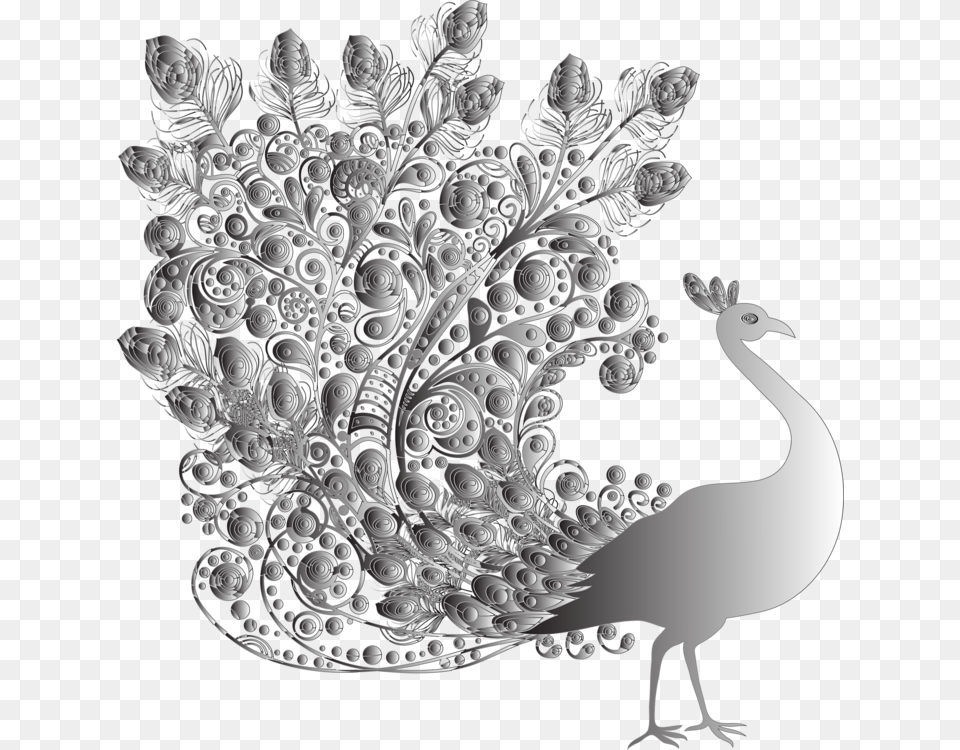 Peafowl M02csf Landfowl Drawing Feather Indian Peafowl, Chandelier, Lamp, Art, Accessories Free Transparent Png