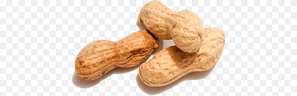 Peanut, Food, Nut, Plant, Produce Png