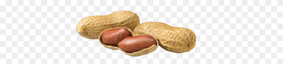 Peanut, Food, Nut, Plant, Produce Free Png Download